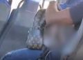 Passageiro mostra as partes íntimas dentro de ônibus de Campos