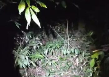 Ciclista é resgatado pelo Corpo de Bombeiros no Morro do Itaoca, em Campos
