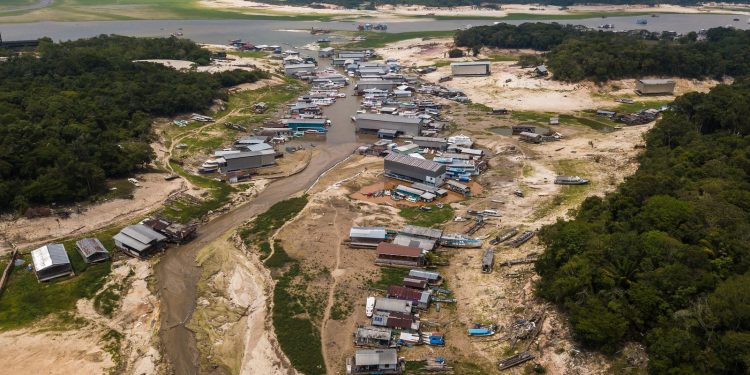 seca-na-amazonia-atingiu-38%-das-areas-habitadas-no-ultimo-el-nino