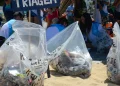 praias-de-cinco-estados-vao-receber-mutiroes-de-limpeza-em-setembro