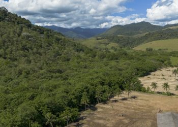agricultura-ganha-11-milhoes-de-hectares-em-41-anos-na-mata-atlantica