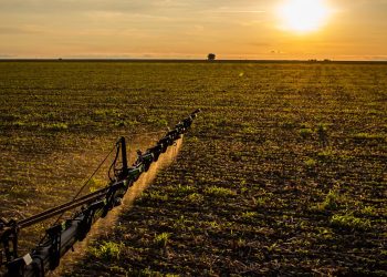 seguro-rural:-novas-regras-ampliam-cobertura-e-protecao-ao-produtor