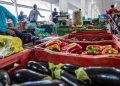 campanha-busca-engajamento-para-reduzir-desperdicio-de-alimento