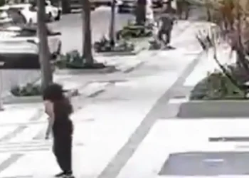 professora-aposentada-da-ufrj-e-baleada-em-assalto-na-zona-sul-do-rio
