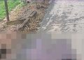 Homem é encontrado morto a tiros em estrada de morro do coco